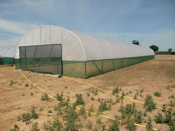 Commercial Poly-Tunnel